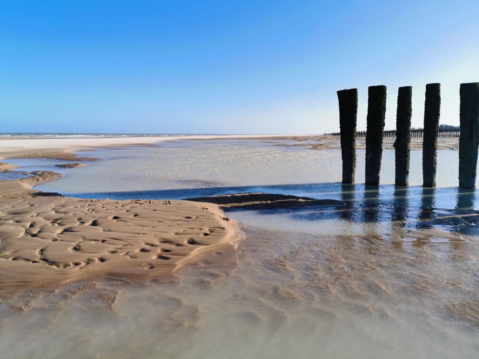 Appartamento Au Kaycedra Calais Esterno foto